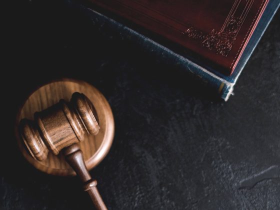 Access to Records, By-Law Enforcement & Section 238: What Rao v SP39988 Teaches Strata Owners
