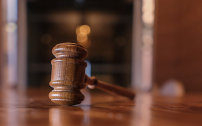Costs Recovery By-laws Under the Microscope